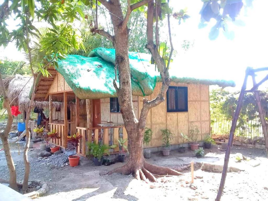 Traditional Filipino Transient House And Huts Near 100 Islands Wharf 알라미노스 외부 사진